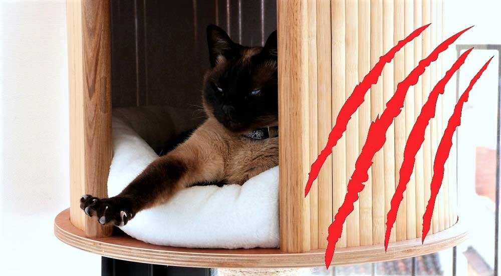 Cat Scratching Furniture How To Stop It In The Home