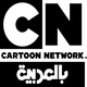 Network Arabic