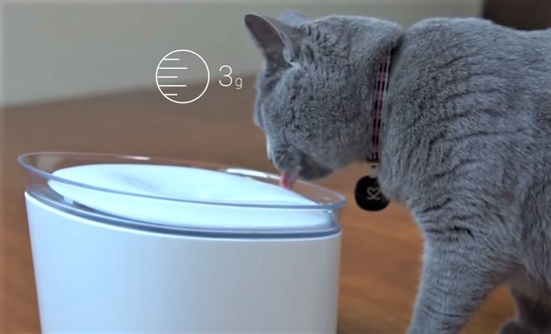 Pura The Smart Water Fountain For Cat