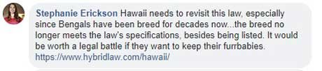Hawaii bans Bengal cats as well