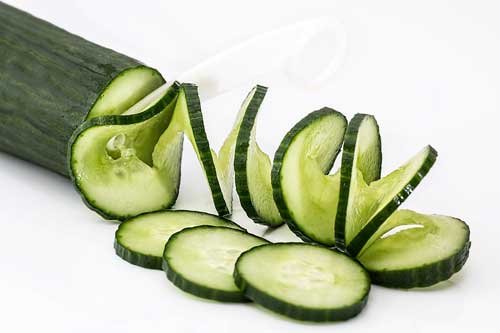 Human Food For Cats - Cucumber