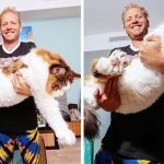 Meet Samson The Biggest Maine Coon Cat In New York City