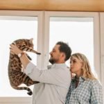 Adopting a Bengal Cat - Adopting from a Breeder or Shelter