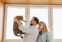 Adopting a Bengal Cat: How to Choose Between a Breeder and a Shelter Adopting a Bengal Cat - Adopting from a Breeder or Shelter