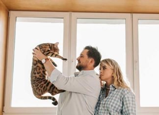 Adopting a Bengal Cat: How to Choose Between a Breeder and a Shelter Adopting a Bengal Cat - Adopting from a Breeder or Shelter