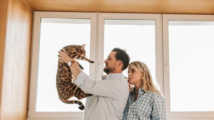 Adopting a Bengal Cat - Adopting from a Breeder or Shelter